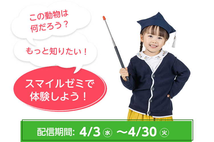 この動物は何だろう？もっと知りたい！スマイルゼミで体験しよう！配信期間：4/3（水）～4/30（火）