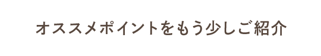 オススメポイントをもう少しご紹介